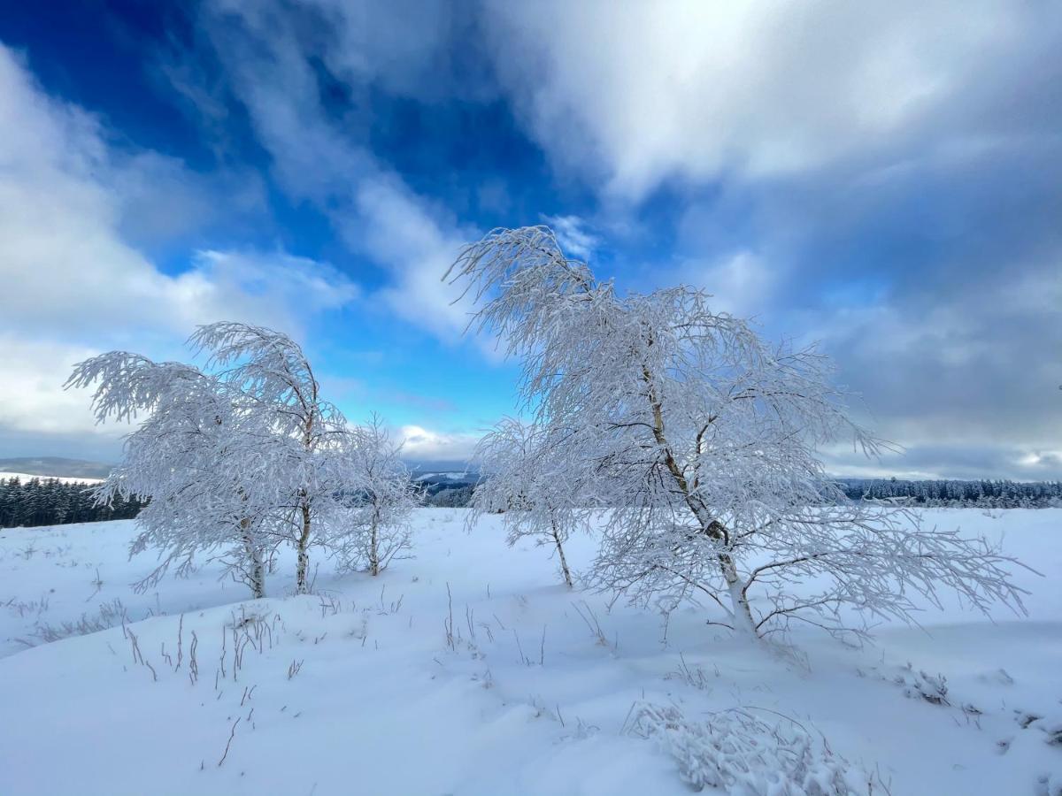 Fewo Gipfelglueck Виллинген Экстерьер фото